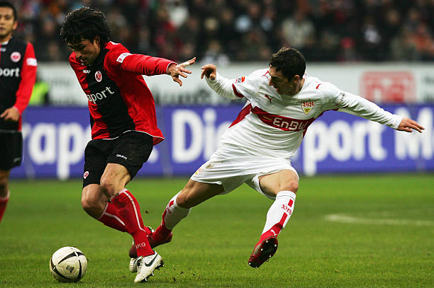 众大饱眼福 众大饱眼福